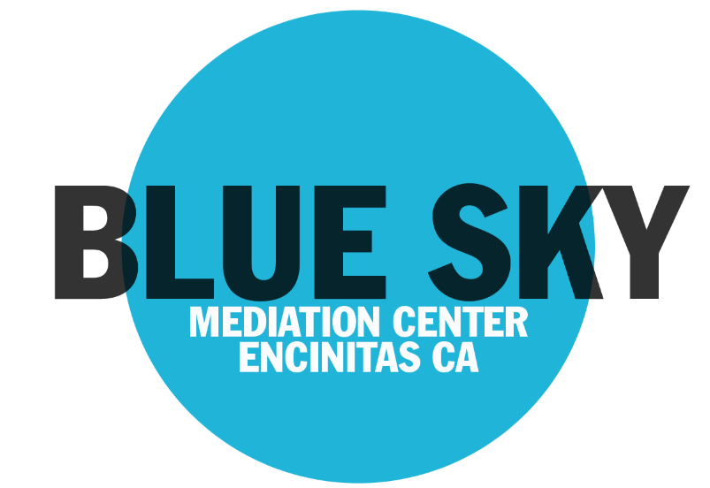 bluemediation-logo
